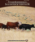 Seedstock 2020
